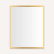 Robern Profiles Mirror Cabinet