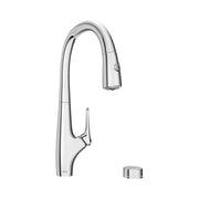American Standard Saybrook Filtered Kitchen Faucet