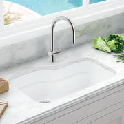 Franke Orca Single Bowl Kitchen Sink