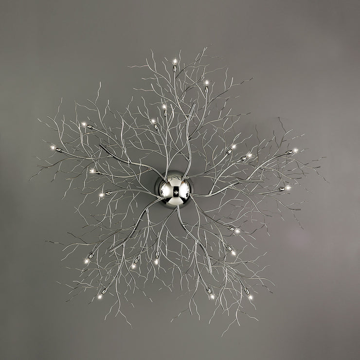 Eurofase Autumn Wall Mount Light