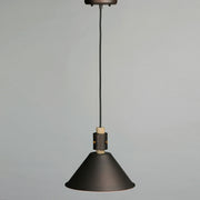 Maxim Tuscon 1-Light Pendant