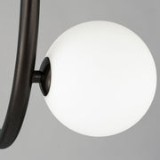 Maxim Contour 14-Light Fixed Stem Ceiling Light