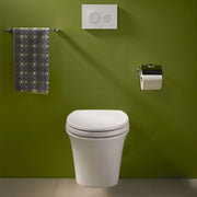TOTO AP Dual Flush Wall-Mounted Toilet